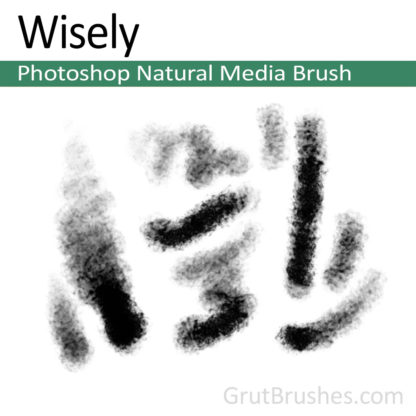 Photoshop Natural Media Brush for digital artists 'Wisely'
