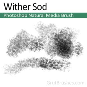 Wither Sod - Photoshop Natural Media Brush