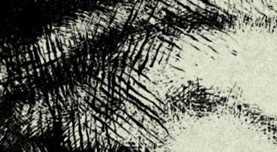 Detail of digital drawing done with Carvink cross-hatching Photoshop brush