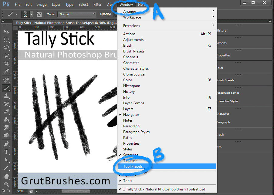 Click on the arrow to revel the tool presets menu