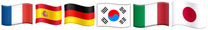 multi-lingual-video-Flags-icon-208x30-1